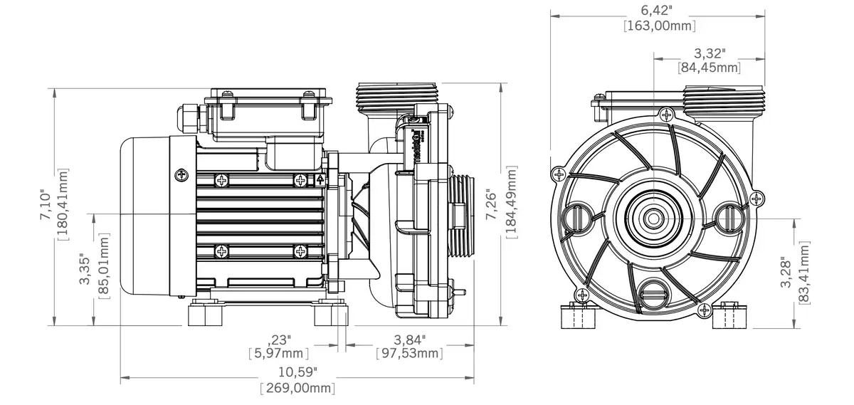 Gecko Maelstrom CMS-1